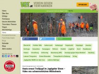 Bild zum Artikel: Heute erneut Treibjagd im Jagdgatter Strem – Video von schwerverletztem Wildschwein