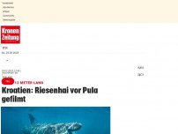 Bild zum Artikel: Kroatien: Riesenhai vor Pula gefilmt