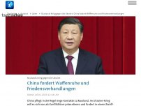 Bild zum Artikel: China fordert Waffenruhe in Ukraine und Friedensverhandlungen