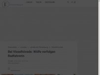 Bild zum Artikel: Bei Visselhövede: Wölfe verfolgen Radfahrerin