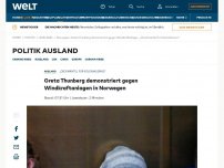 Bild zum Artikel: Greta Thunberg demonstriert gegen Windkraftanlagen in Norwegen