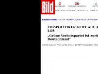 Bild zum Artikel: FDP-Politiker geht auf Ampel-Partner los - Grüne sind gefährlich für Deutschland!