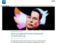 Bild zum Artikel: Musk verunglimpft Twitter-Mitarbeiter mit Behinderung