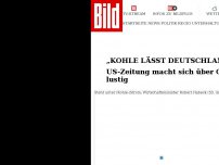 Bild zum Artikel: „Kohle lässt Deutschlands Lichter an“ - US-Zeitung macht sich über Grünen-Politik lustig