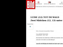 Bild zum Artikel: Luise(12) tot im Wald - Zwei Mädchen (12, 13) unter Tatverdacht