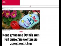 Bild zum Artikel: Neue grausame Details zum Fall Luise: Sie wollten sie zuerst ersticken
