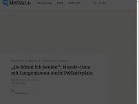 Bild zum Artikel: „Da könnt ich heulen“: Hunde-Oma mit Lungentumor sucht Palliativplatz