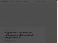 Bild zum Artikel: Wagenknecht stellt These auf: „Wärmepumpen klimapolitisch völliger Nonsens“