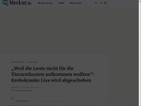 Bild zum Artikel: „Weil die Leute nicht für die Tierarztkosten aufkommen wollten“: Krebskranke Lisa wird abgeschoben