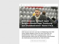 Bild zum Artikel: Hamann fordert Trennung von Bundestrainer Flick