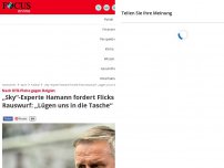 Bild zum Artikel: Nach Belgien-Pleite - „Sky“-Experte Hamann fordert Flicks Rauswurf: „Lügen uns in die Tasche“