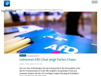 Bild zum Artikel: Geheimer AfD-Chat zeigt Chaos in der Partei