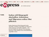 Bild zum Artikel: Italien will Bürgergeld abschaffen: Arbeitslose und Migranten sollen Obst pflücken