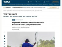 Bild zum Artikel: Regenwald in Brasilien retten? Deutschlands Rindfleisch-Kalkül geht gründlich schief