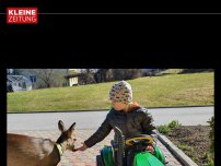 Bild zum Artikel: Ein Reh besucht bis heute jene Familie, die es seinerzeit aufgezogen hat