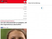 Bild zum Artikel: Gastbeitrag von Rainer Zitelmann - Um den Klimawandel zu stoppen, will Greta den Kapitalismus abschaffen