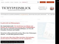 Bild zum Artikel: Schornsteinfeger, Mieterbund und Versorger kritisieren Habecks Heizungsgesetz