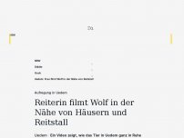 Bild zum Artikel: Aufregung in Uedem: Reiterin filmt Wolf in der Nähe von Häusern und Reitstall