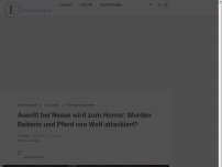 Bild zum Artikel: Ausritt bei Nesse wird zum Horror: Wurden Reiterin und Pferd von Wolf attackiert?