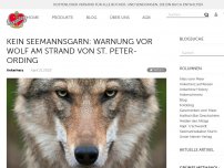 Bild zum Artikel: Kein Seemannsgarn: Warnung vor Wolf am Strand von St. Peter-Ording