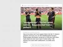 Bild zum Artikel: Bayern patzen auch in Mainz böse – Meisterschaft in Gefahr
