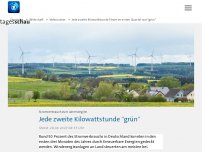 Bild zum Artikel: Jede zweite Kilowattstunde Strom im ersten Quartal war 'grün'