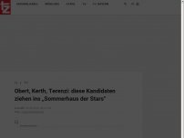 Bild zum Artikel: Obert, Kerth, Terenzi: diese Kandidaten ziehen ins „Sommerhaus der Stars“