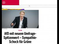 Bild zum Artikel: AfD mit neuem Umfrage-Spitzenwert – Sympathie-Schock für Grüne