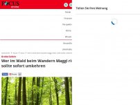 Bild zum Artikel: Große Gefahr - Wer im Wald beim Wandern Maggi riecht, sollte sofort umkehren