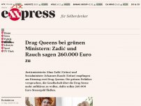 Bild zum Artikel: Drag-Queens bei grünen Ministern: Zadić und Rauch sagen 260.000 Euro zu