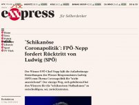 Bild zum Artikel: “Schikanöse Coronapolitik”: FPÖ-Nepp fordert Rücktritt von Ludwig (SPÖ)