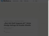 Bild zum Artikel: „Ihre Zeit läuft langsam ab“: Keine einzige Anfrage für kranke Hündin