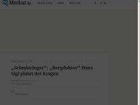 Bild zum Artikel: „Schmieringer“: „Bergdoktor“ Hans Sigl platzt der Kragen