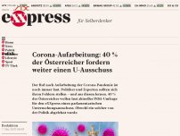 Bild zum Artikel: Corona-Aufarbeitung: 40 % der Österreicher fordern weiter einen U-Ausschuss