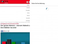 Bild zum Artikel: Umfragewerte im Keller - Der grüne Absturz – warum Habeck und Co. ihre Wähler los sind