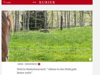 Bild zum Artikel: 'Alleine in den Wald geht keiner mehr'