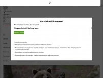 Bild zum Artikel: Braunbär in Bayern von Kamera aufgenommen