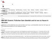 Bild zum Artikel: Familie: Nur 305 Gramm: Frühchen Sam überlebt und ist nun Zuhause in Borchen