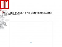 Bild zum Artikel: Mit AfD-Bossen und DDR-Verbrecher - Gerhard Schröder feiert in Russen-Botschaft!