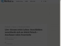 Bild zum Artikel: Live-Stream rettet Leben: Storchküken verschluckt sich an Stück Fleisch - Zuschauer rufen Feuerwehr