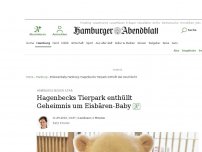 Bild zum Artikel: Hamburgs neuer Star: Hagenbecks Tierpark enthüllt Geheimnis um Eisbären-Baby
