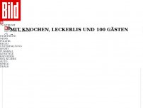 Bild zum Artikel: Mit Knochen, Leckerlis und 100 Gästen - Ältester Hund aller Zeiten feiert 31. Geburtstag