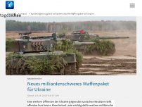 Bild zum Artikel: Bundesregierung plant milliardenschweres Waffenpaket für Ukraine