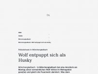 Bild zum Artikel: Polizeieinsatz in Mönchengladbach: Wolf entpuppt sich als Husky
