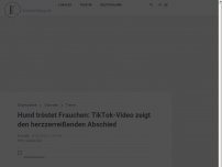 Bild zum Artikel: Hund tröstet Frauchen: TikTok-Video zeigt den herzzerreißenden Abschied