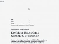 Bild zum Artikel: Naturphänomen in Krefeld: Halsbandsittiche in Uerdingen richten ihre Nisthöhle in einer gedämmten Hauswand ein