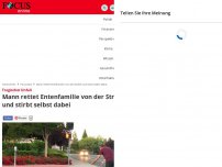 Bild zum Artikel: Tragischer Unfall - Mann rettet Entenfamilie von der Straße und stirbt selbst dabei