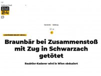 Bild zum Artikel: Toter Bär auf Gleisen zwischen Lend und Schwarzach