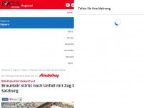 Bild zum Artikel: DNA-Probe klärt Herkunft auf - Braunbär stirbt nach Unfall mit Zug bei Salzburg