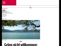 Bild zum Artikel: Grüne nicht willkommen: Wirbel um Wut-Unternehmerin